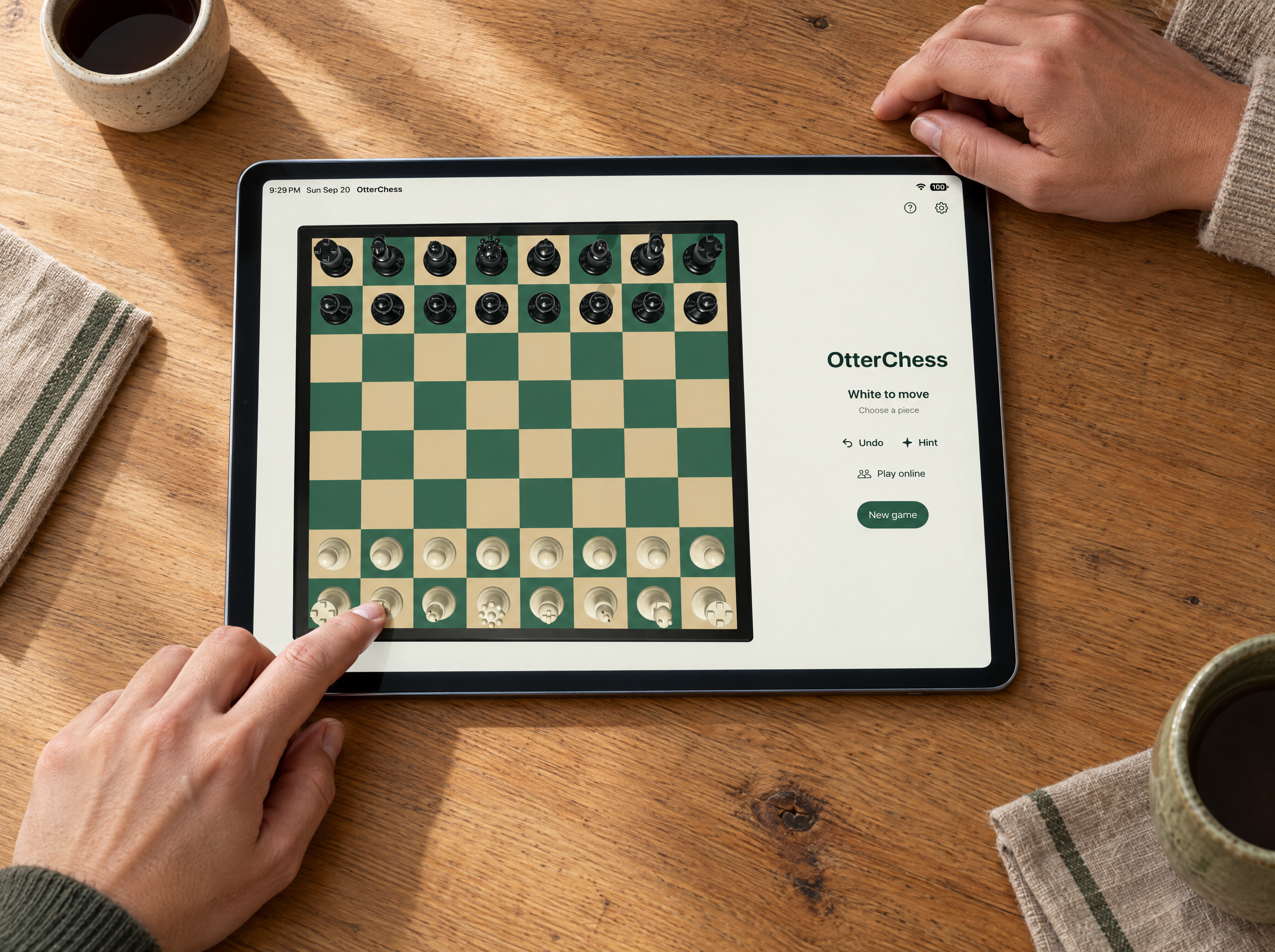Two players sharing an iPad game of OtterChess